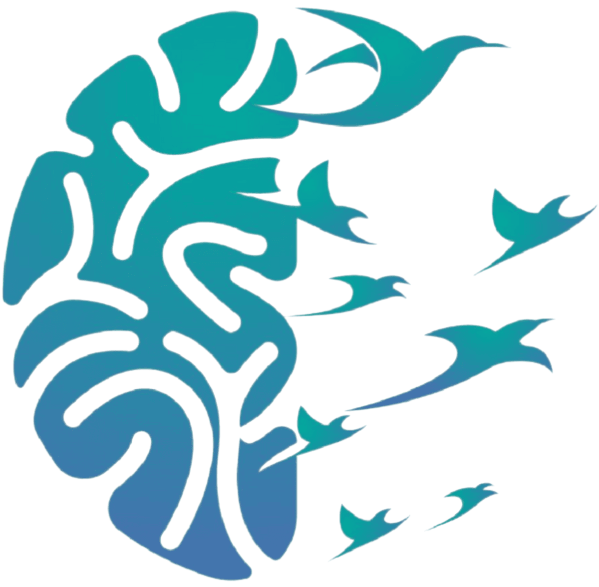 SOAR™ Quantum Somatics trauma informed anxiety treatment and resilience training